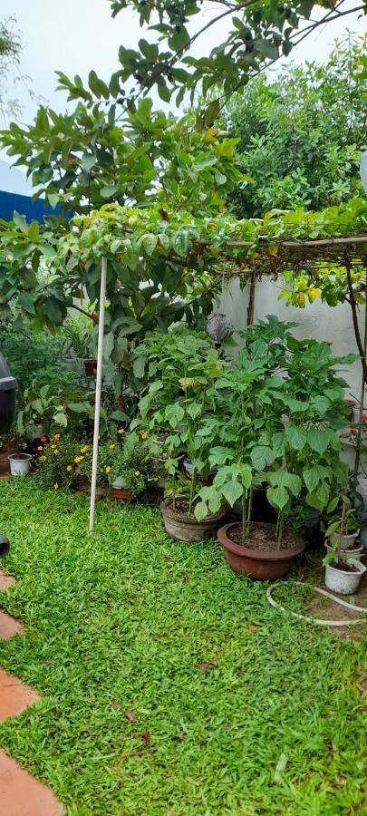 Star Garden Hoi An Apartman Kültér fotó